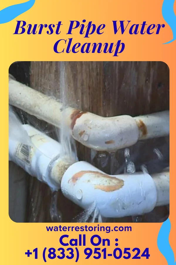 Burst Pipe Water Cleanup in Rogers City, MI
