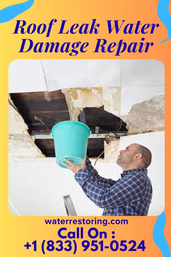 Roof Leak Water Damage Repair in Rogers City, MI